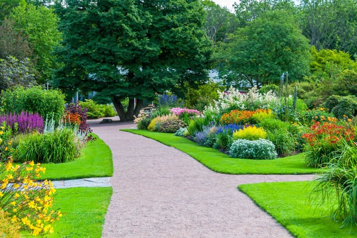 jardin 2 trabajo de jardineria 2 Gipuzkoa