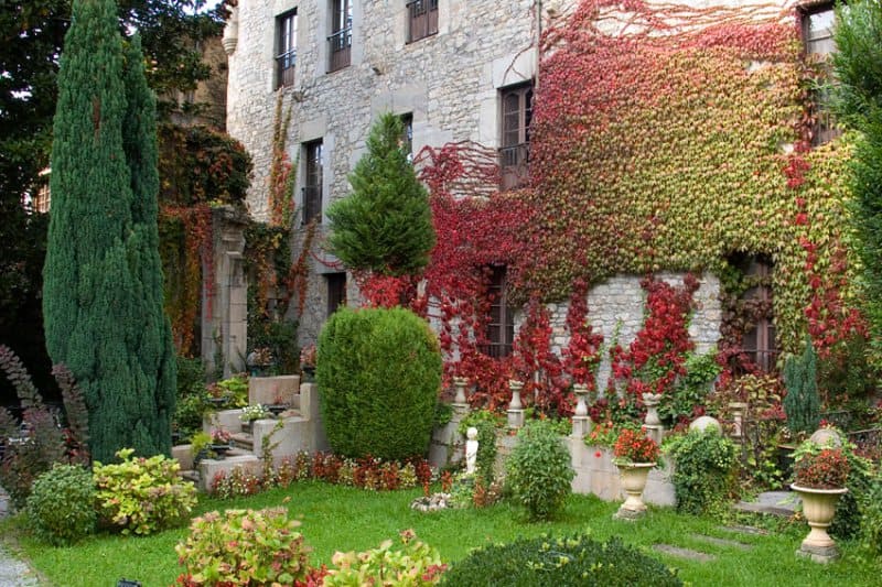 jardin 5 trabajo de jardineria 5 Gipuzkoa